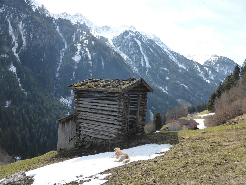Pension Steinadler Neustift im Stubaital Zewnętrze zdjęcie