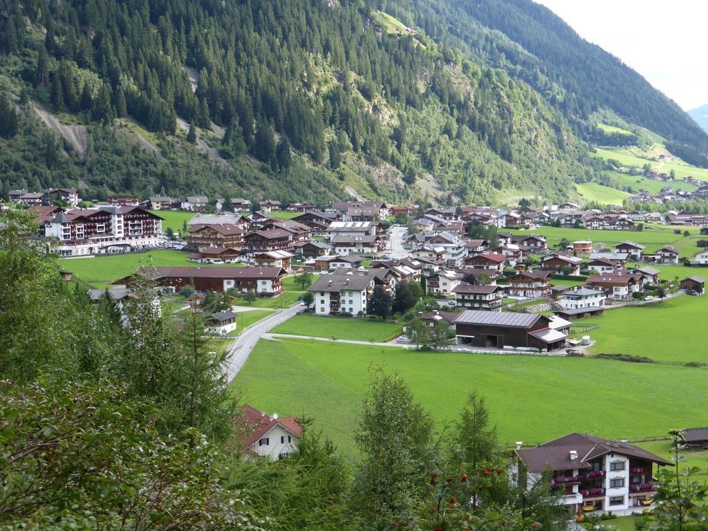 Pension Steinadler Neustift im Stubaital Zewnętrze zdjęcie